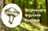Отруєння грибами: профілактика і перша допомога.