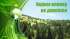 Висновок з оцінки впливу на довкілля планованої діяльності «Використання лісових ресурсів  у  порядку  проведення  суцільних  санітарних  рубок  на  території  лісового  фонду Овруцького  надлісництва  філії  «Столичний  лісовий  офіс»  Державного  с