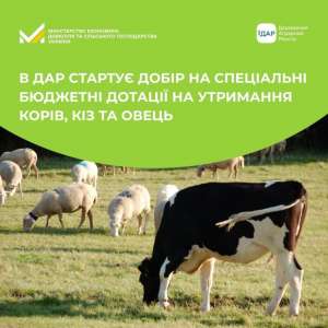У Державному аграрному реєстрі стартував добір на спеціальні бюджетні дотації для утримання корів, кіз та овець